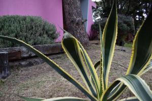 Cabaña Descansos del Este