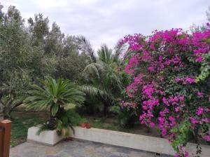 Melia's House Lasithi Greece