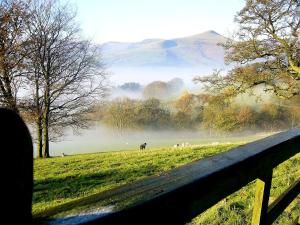 Peak District Shepherds Hut
