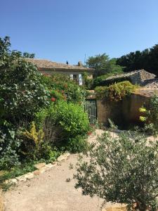 B&B / Chambres d'hotes La Mandarine : photos des chambres