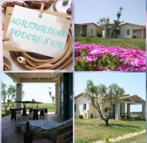 Agriturismo podere 678 - Macchiascandona