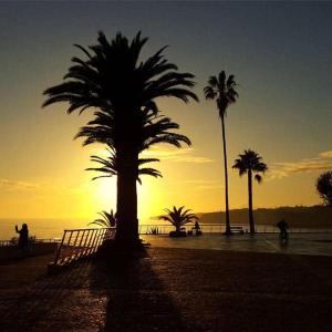 Mar & Serra ARMACAO DE PERA