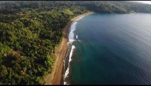 Life for Life Hostel Lodge Drake Bay Home of Sea Turtle Marine Conservation Project Osa Peninsula near San Josecito Beach