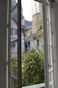 Appartements L'Oiseau De La Cathedrale - Calme - Jardin - Wifi : photos des chambres