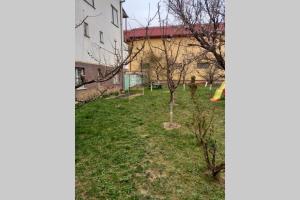 Апартаменти в центрі Мукачева