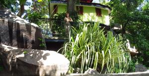 Zopango Orchids Island