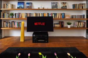 Prague Days - 1BDR Apt w Netflix - Žižkov Tower