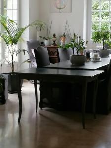 B&B / Chambres d'hotes Villa des Fleurs d'Ajoncs : photos des chambres