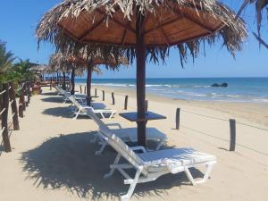 Hotel Punta del Norte Bungalows