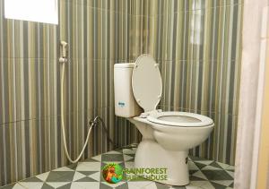 Rain Forest Guest House and Jungle Trekking