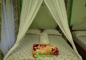 Rain Forest Guest House and Jungle Trekking