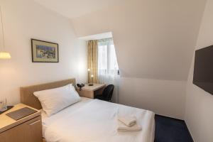 Small Single Room room in Hotel Villa Nečas Žilina