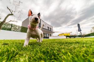 Villa Piante - Pool, Whirlpool