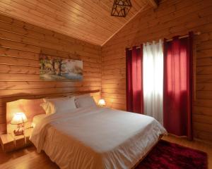 CAVE Chalet & Spa Parnassos Greece