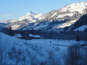 Appartements Appartement d'une chambre avec jardin amenage a Megeve a 2 km des pistes : photos des chambres