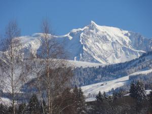 Appartements Appartement d'une chambre avec jardin amenage a Megeve a 2 km des pistes : photos des chambres