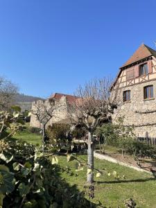 Maisons d'hotes Le Refuge du Rempart : photos des chambres