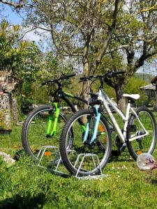 Apartment PARENZANA, little row HOUSE with big green yard in central Istria