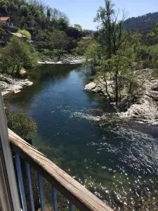 fleur de lune - Asperjoc