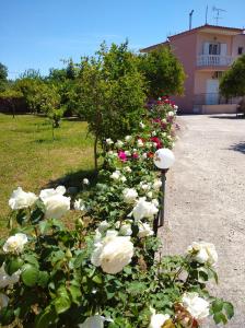 Secret Garden Achaia Greece