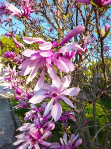 Secret Garden Achaia Greece