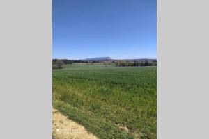 Appartements Charmant studio avec piscine et clim (en ete) : photos des chambres