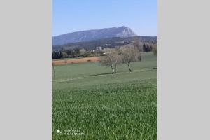 Appartements Charmant studio avec piscine et clim (en ete) : photos des chambres