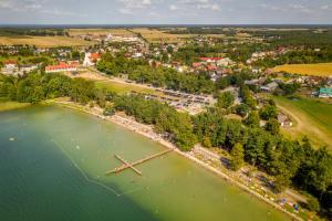 Wielewiak