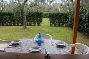 Agriturismo Lu Podere - 阿利米尼