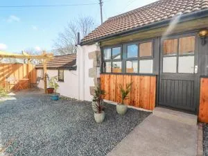 Toadstools - Porkellis