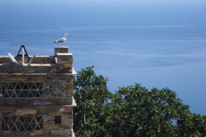 Aegean Vine house with Terrace view Andros Greece