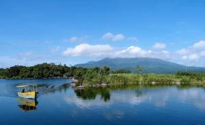 Zopango Orchids Island