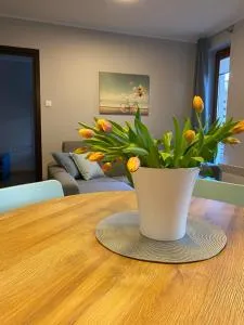 Apartament BalticPark Stegna - 埃尔布隆格