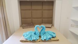 Aqua Palms Studio A210