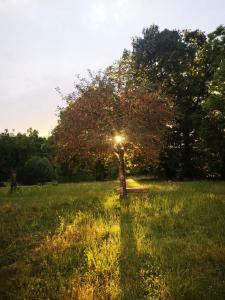 Maisons de vacances Magnifique Grand Gite pour groupe en pleine nature : photos des chambres