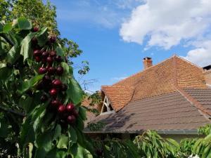 Appartements La Grange a outeaux : photos des chambres