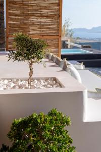 villa venmar paros Paros Greece