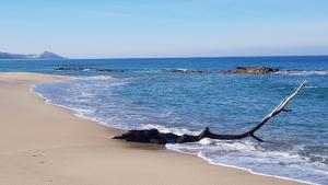 “CIELO E MARE”, CASETTA NEL CUORE DEL BORGO ANTICO / “SKY & SEA”, CHARMING IN THE HEART OF OLD VILLAGE img26