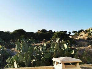 Appartamento con Terrazza
