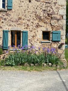 Bachellerie photo 9