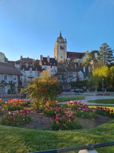 B&B / Chambres d'hotes Le grand moulin des tanneurs B&B et Love Room : photos des chambres