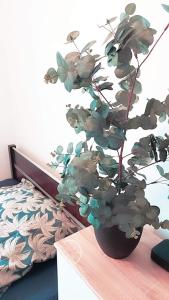 Apartament OgrodyJeżyce