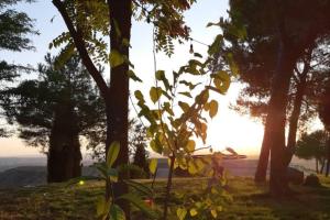 Puerta Laguna - Casa con parcela