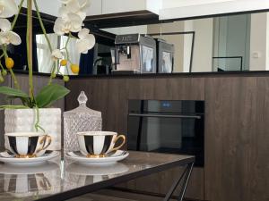 Modern and Luxury Apartment in the Center of Kaunas