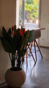 Appartements Le coeur du saphir : photos des chambres