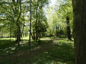 Hotels Domaine De Chatenay - Le Mans : photos des chambres