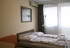 One-Bedroom Apartment room in Víctor Hugo Central Apartment