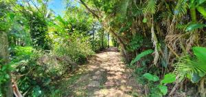 Casa de praia Bertioga Riviera Guaratuba 20 metros da praia