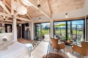 Dream-house Esveld - 阿默斯福特