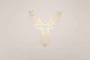 Apartament Złoty Jeleń